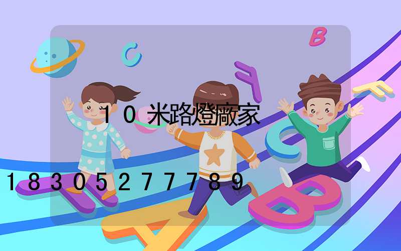 10米路燈廠家