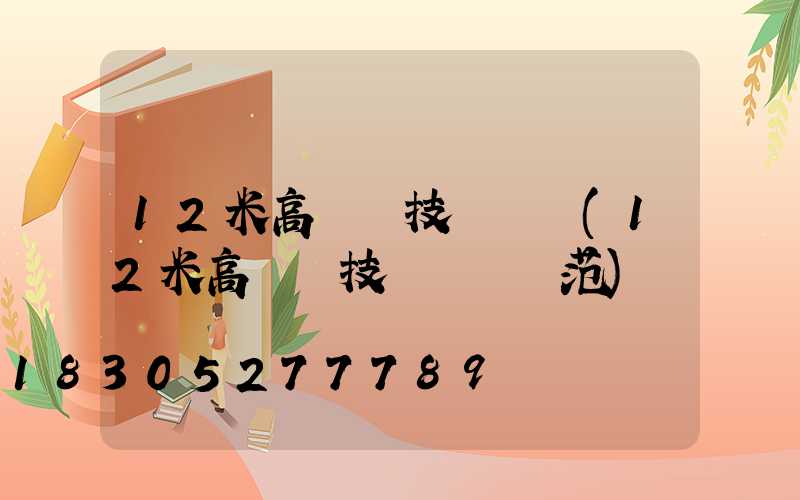 12米高桿燈技術標準(12米高桿燈技術標準規范)