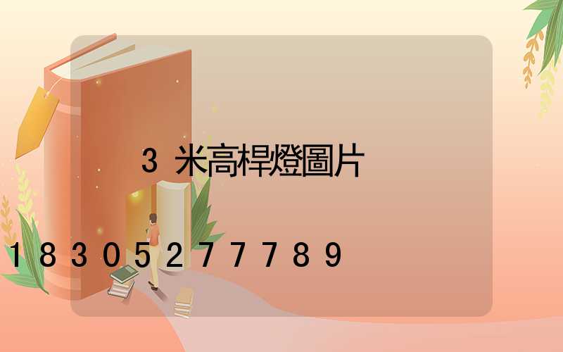 3米高桿燈圖片