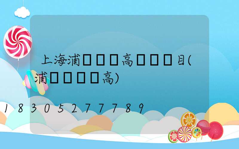 上海浦東機場高桿燈項目(浦東機場標高)