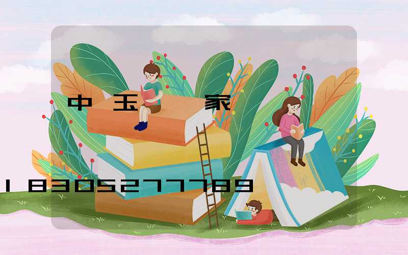 中華玉蘭燈廠家