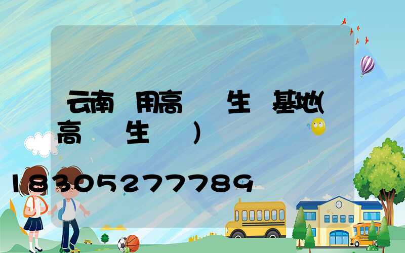 云南實用高桿燈生產基地(高桿燈生產廠)
