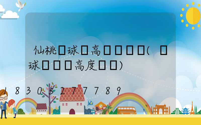 仙桃籃球場高桿燈視頻(籃球場燈桿高度標準)