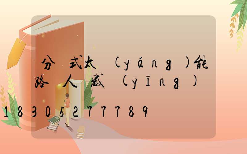 分體式太陽(yáng)能路燈人體感應(yīng)