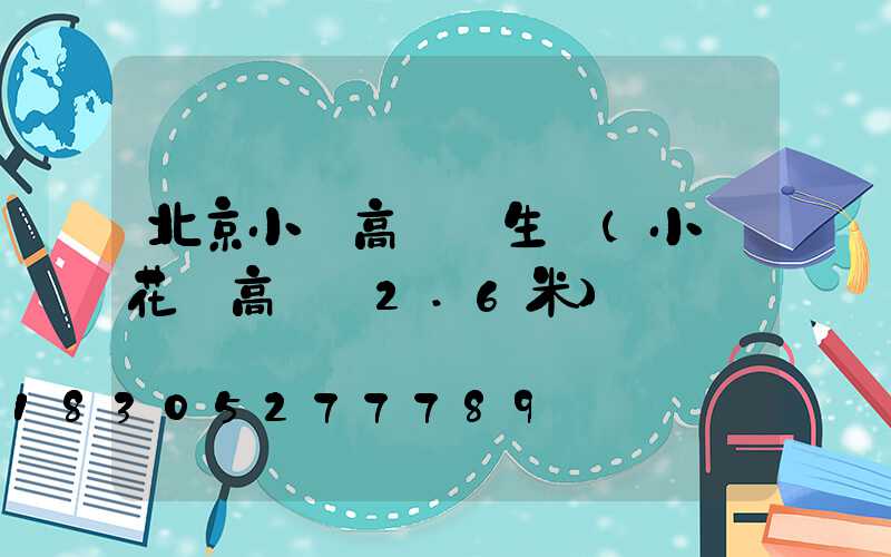 北京小區高桿燈生產(小區花園高桿燈2.6米)