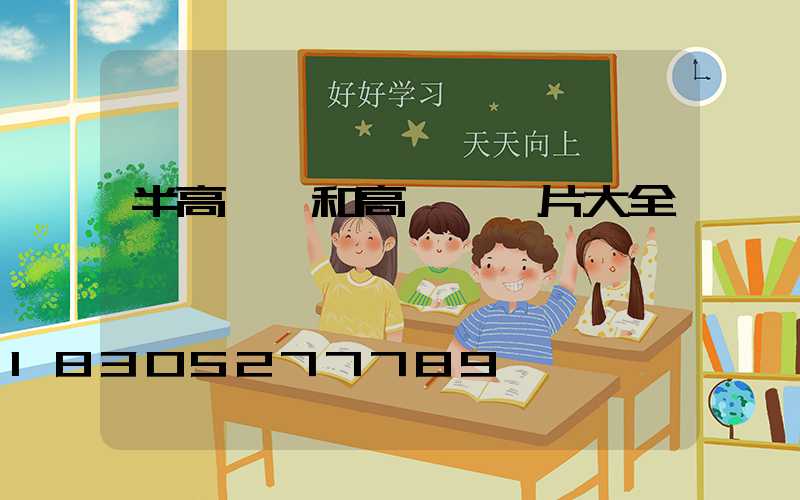 半高桿燈和高桿燈圖片大全