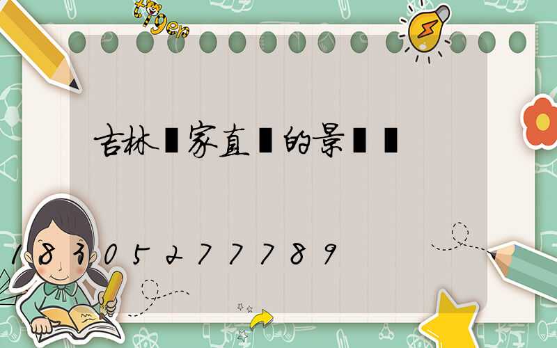 吉林廠家直銷的景觀燈