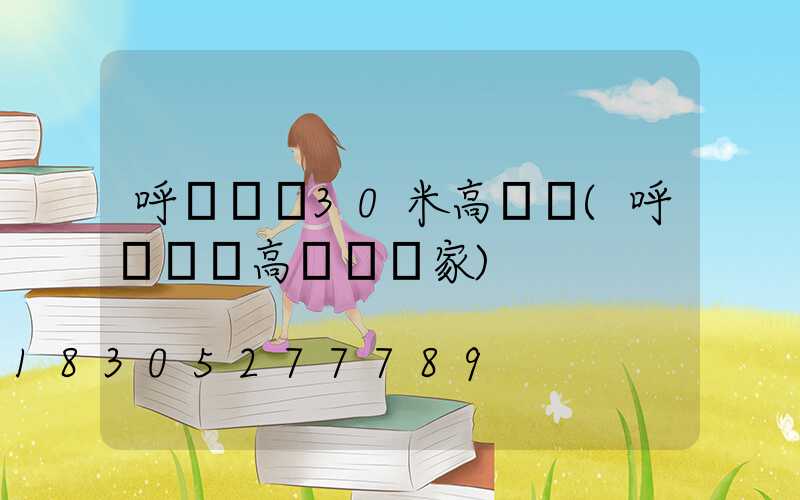 呼倫貝爾30米高桿燈(呼倫貝爾高桿燈廠家)