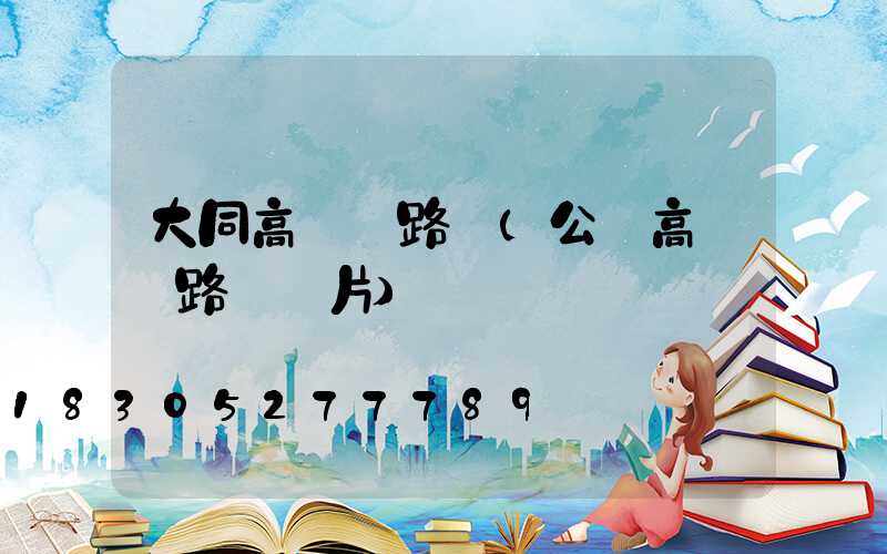 大同高桿燈路燈(公園高桿燈路燈圖片)