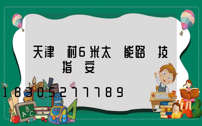 天津農村6米太陽能路燈技術現場指導安裝