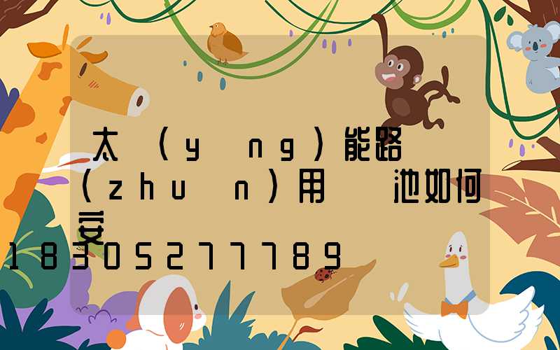 太陽(yáng)能路燈專(zhuān)用鋰電池如何安裝圖