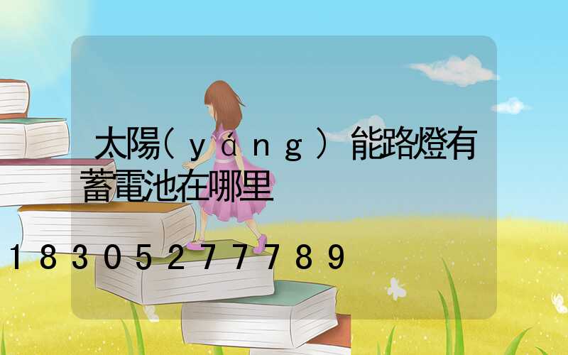 太陽(yáng)能路燈有蓄電池在哪里