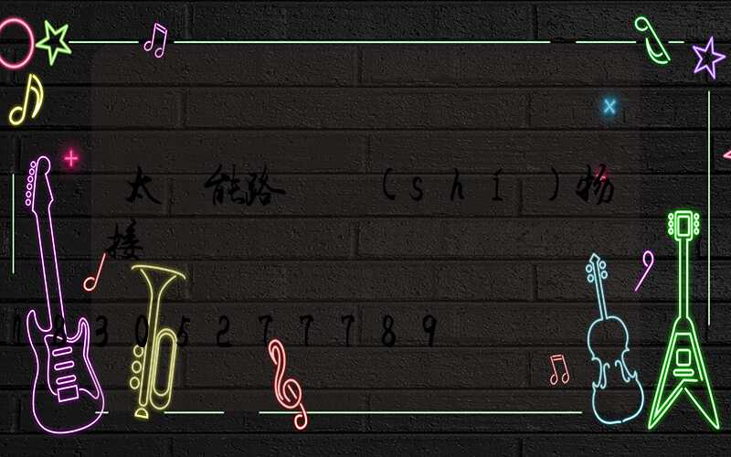 太陽能路燈實(shí)物接線圖