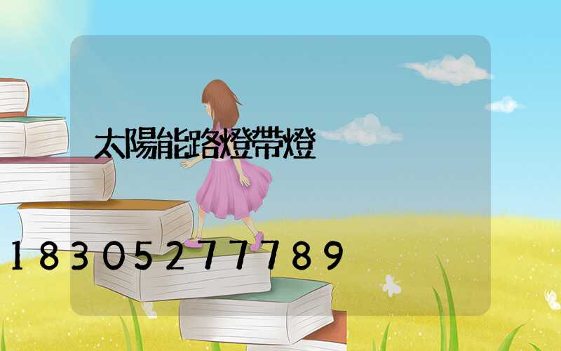 太陽能路燈帶燈桿
