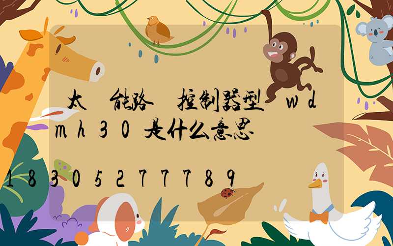 太陽能路燈控制器型號wdmh30是什么意思