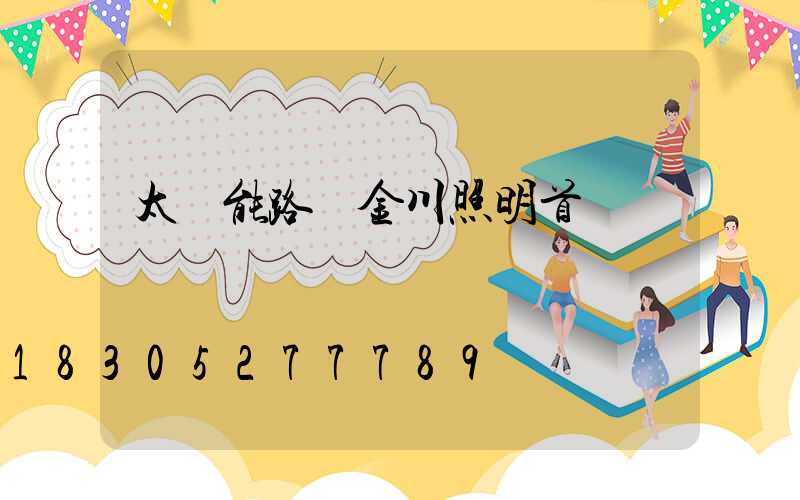 太陽能路燈金川照明首選