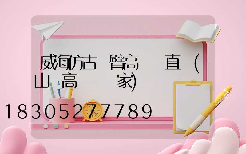 威海仿古雙臂高桿燈直銷(山東高桿燈廠家)
