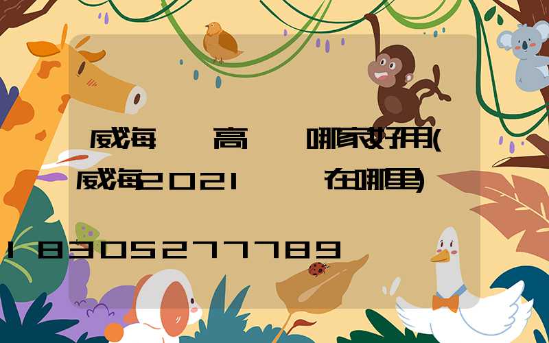 威海廣場高桿燈哪家好用(威海2021燈會在哪里)