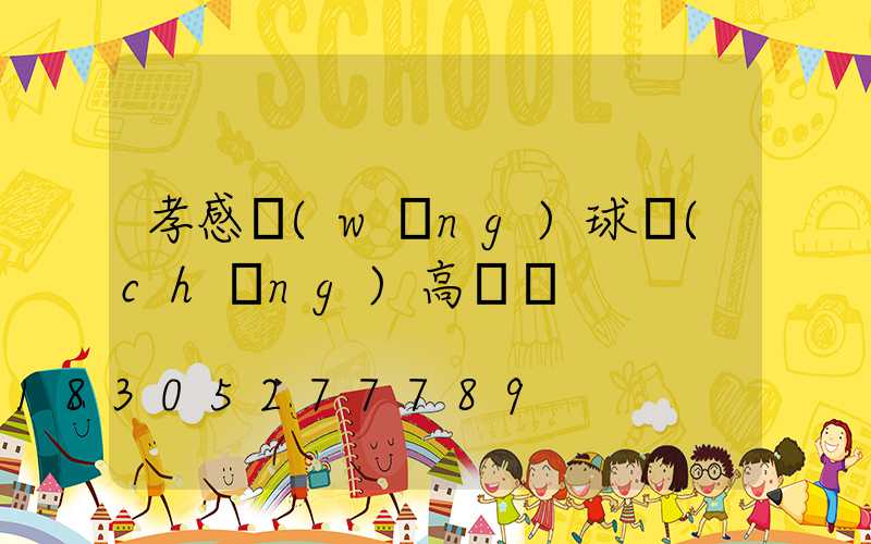 孝感網(wǎng)球場(chǎng)高桿燈