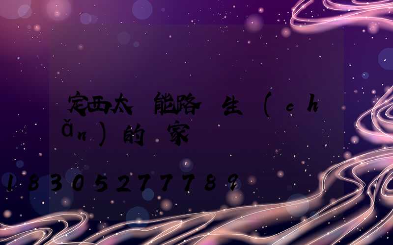 定西太陽能路燈生產(chǎn)的廠家