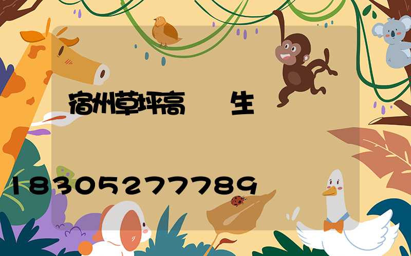 宿州草坪高桿燈生產廠