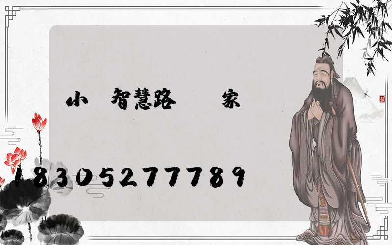 小區智慧路燈廠家