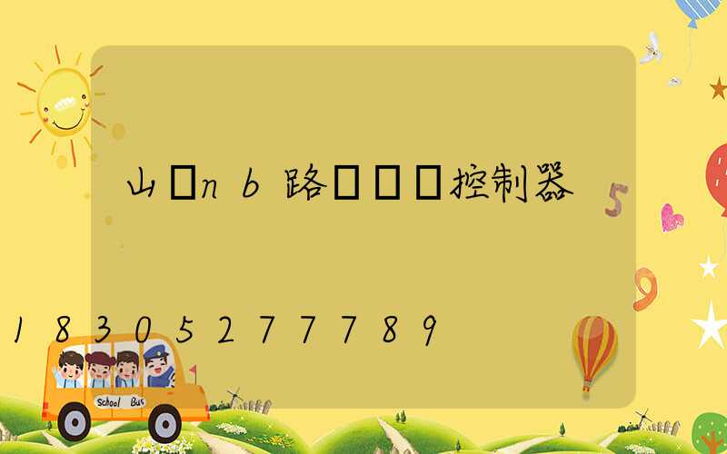 山東nb路燈單燈控制器