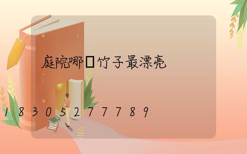 庭院哪種竹子最漂亮