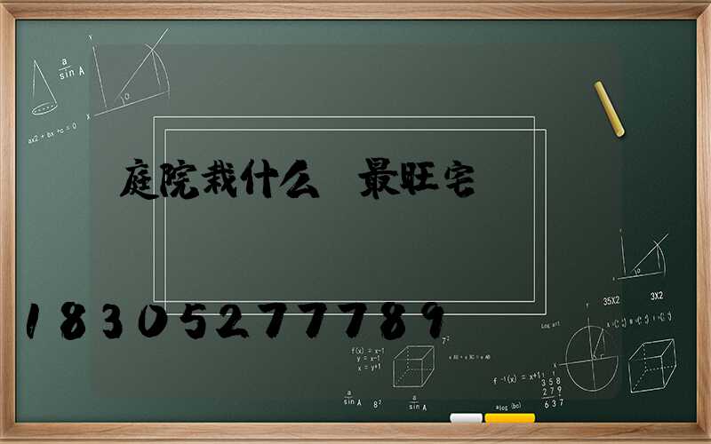 庭院栽什么樹最旺宅