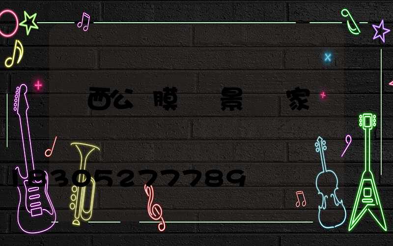 廣西公園膜結構景觀廠家