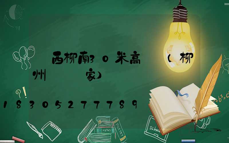 廣西柳南30米高桿燈(柳州燈桿廠家)