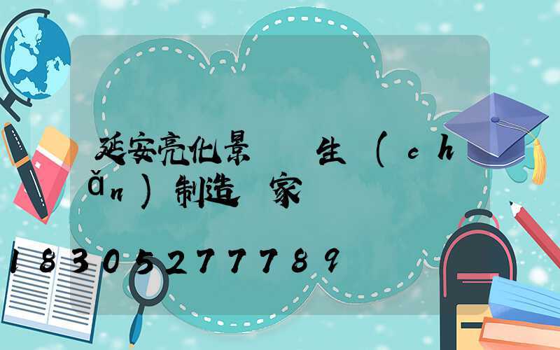 延安亮化景觀燈生產(chǎn)制造廠家