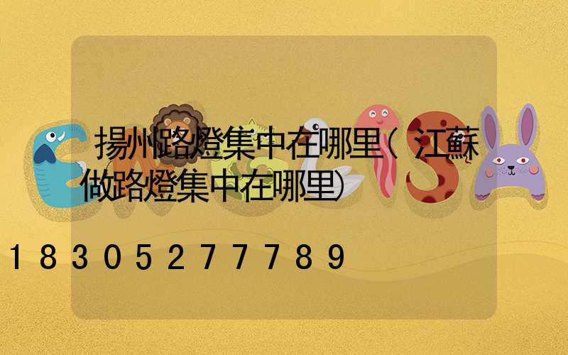 揚州路燈集中在哪里(江蘇做路燈集中在哪里)