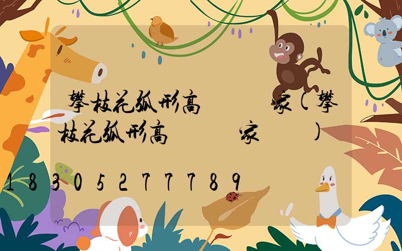 攀枝花弧形高桿燈廠家(攀枝花弧形高桿燈廠家電話)