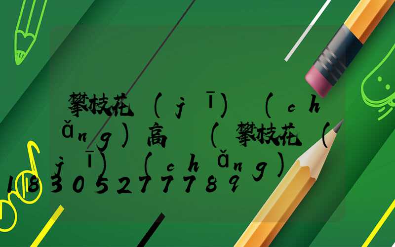 攀枝花機(jī)場(chǎng)高桿燈(攀枝花機(jī)場(chǎng)電話)