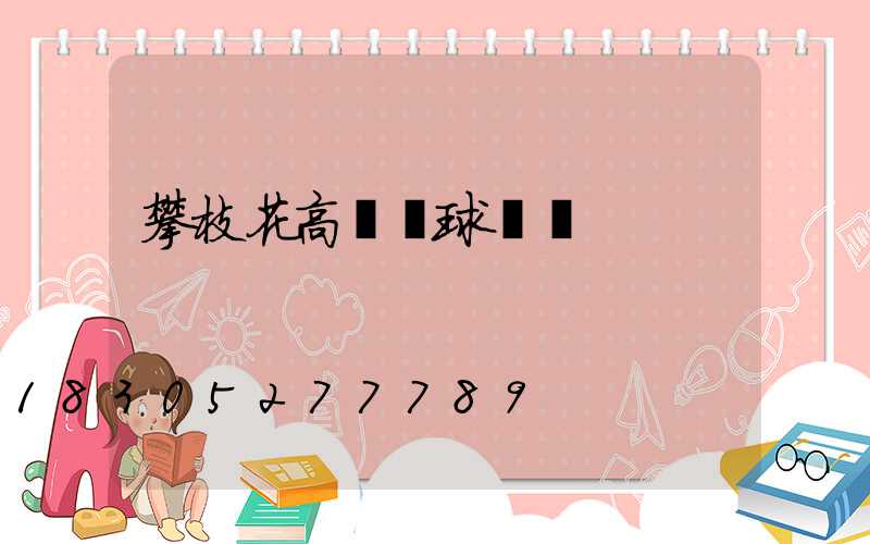 攀枝花高桿燈球場燈