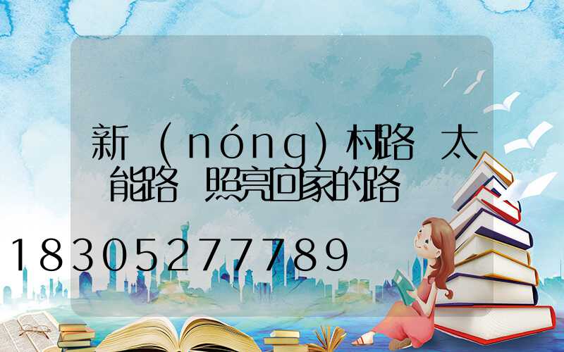 新農(nóng)村路燈太陽能路燈照亮回家的路