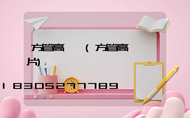 方管高桿燈(方管高桿燈圖片)