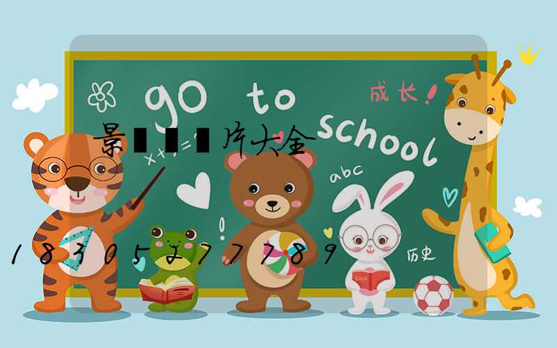 景觀燈圖片大全