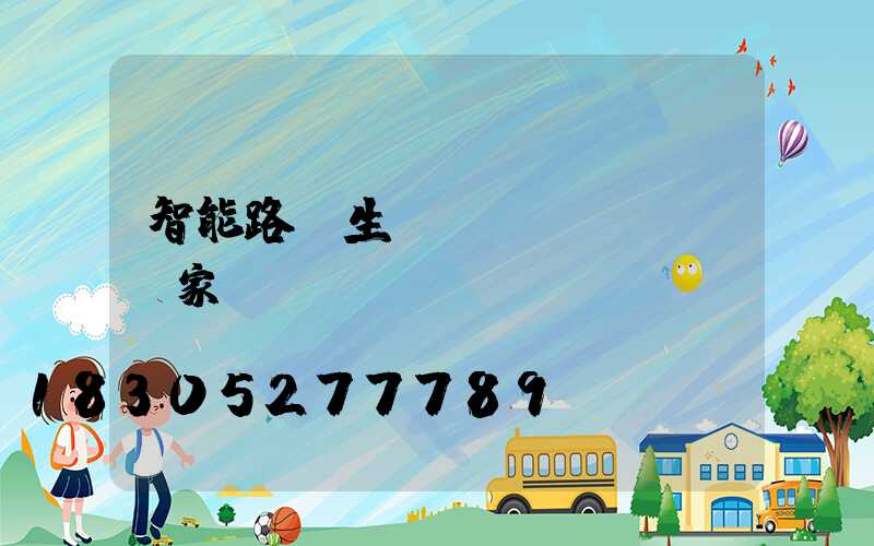 智能路燈生產(chǎn)廠家