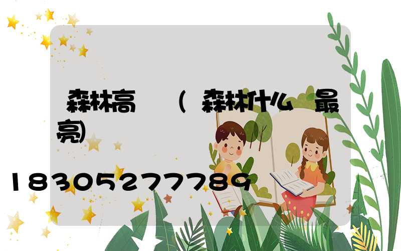 森林高桿燈(森林什么燈最亮)