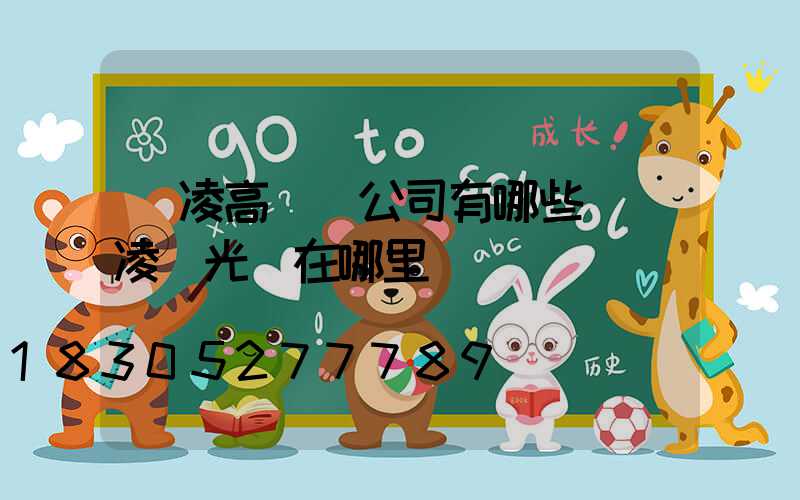 楊凌高桿燈公司有哪些(楊凌燈光節在哪里)