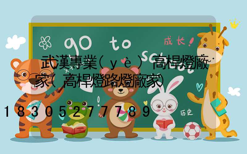 武漢專業(yè)高桿燈廠家(高桿燈路燈廠家)