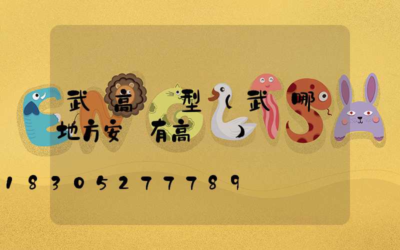 武漢高桿燈型號(武漢哪個地方安裝有高桿燈)