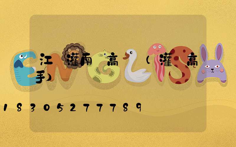 江蘇灌南縣高桿燈(灌籃高手)