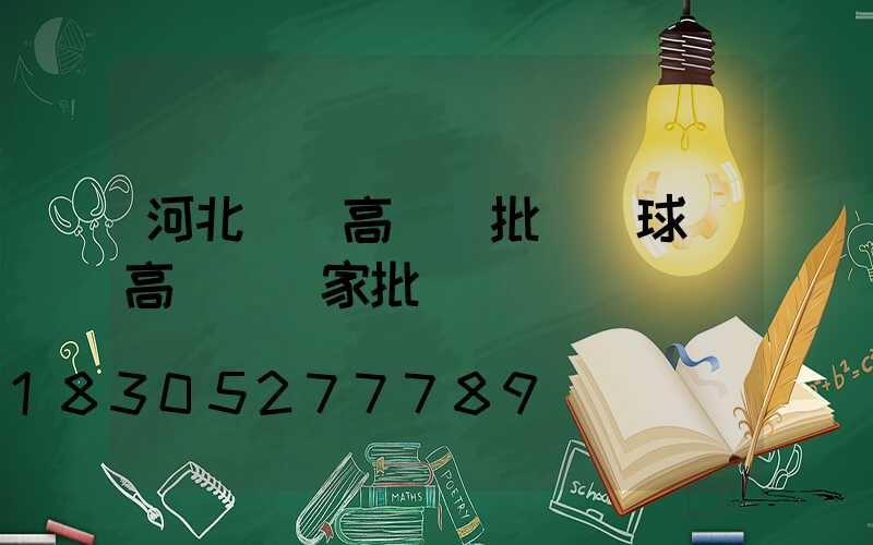 河北機場高桿燈批發(球場高桿燈廠家批發)
