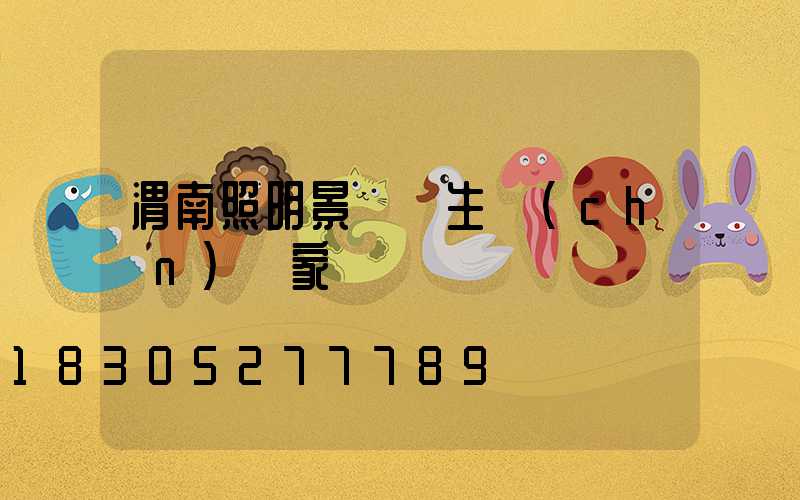 渭南照明景觀燈生產(chǎn)廠家