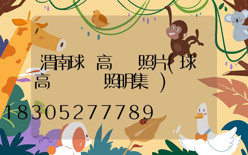 渭南球場高桿燈照片(球場高桿燈誠陽照明集團)