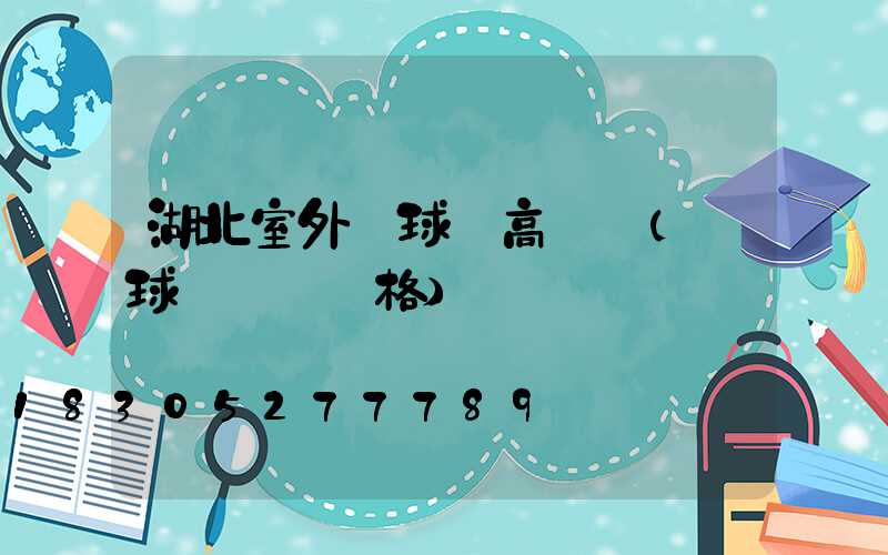 湖北室外籃球場高桿燈(籃球場燈桿價格)