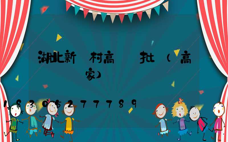 湖北新農村高桿燈批發(高桿燈桿廠家)